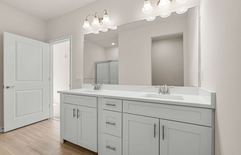 Luxurious Owner's Bath