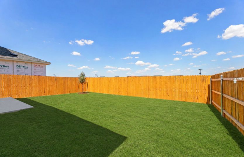 Backyard