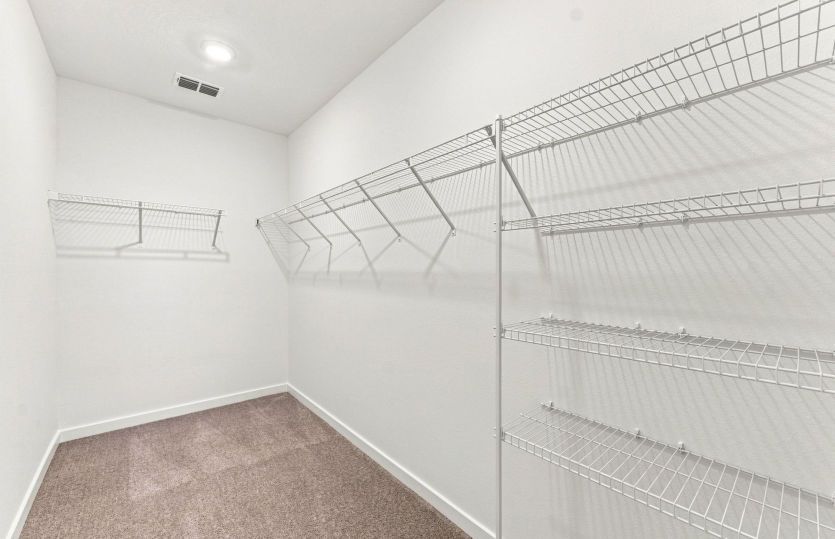 Owner's Walk-in Closet