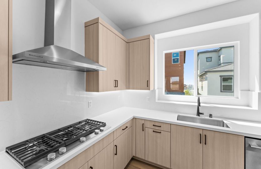 Homesite 1