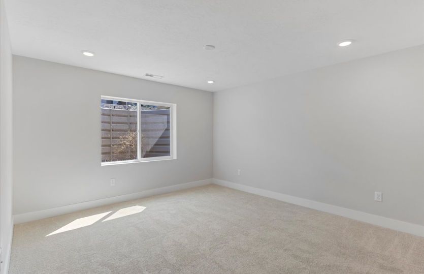 Basement Suite