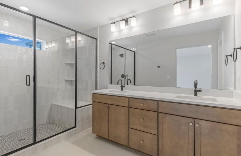 Owner's Bath