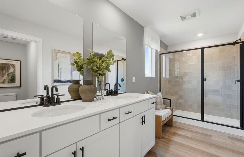 Owner's Bathroom