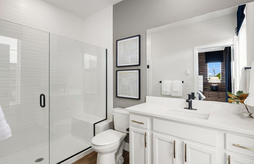 Owner's Bathroom