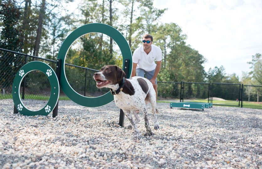A Park for Every Pup