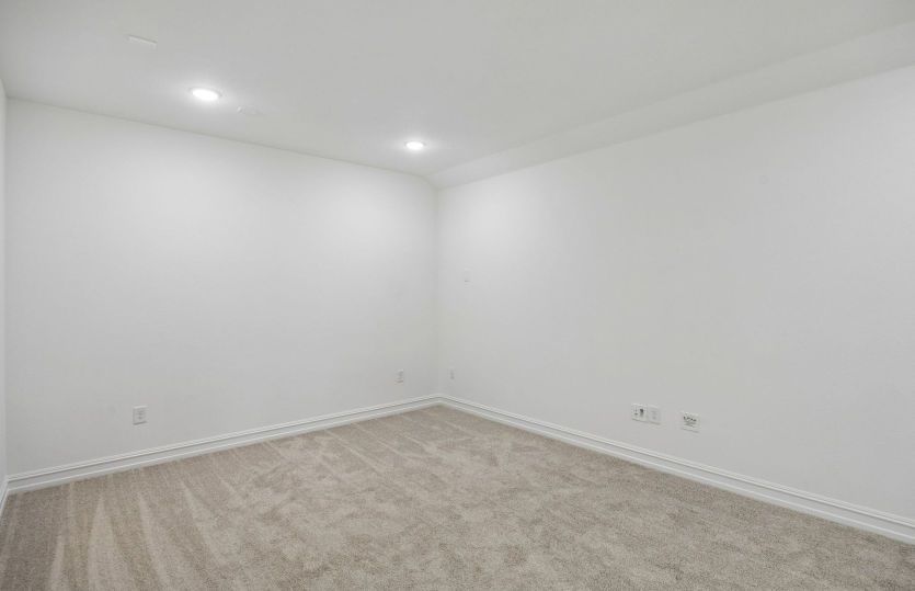 Spacious media room