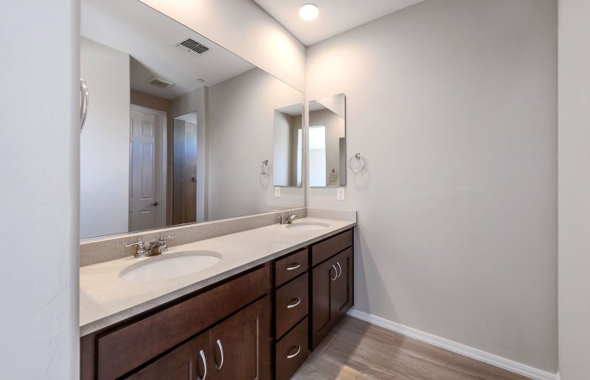 Owner's Bath
