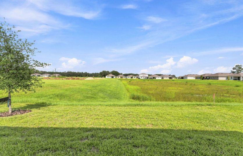 Homesite with No Rear Neighbors