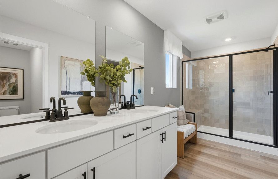 Owner's Bathroom