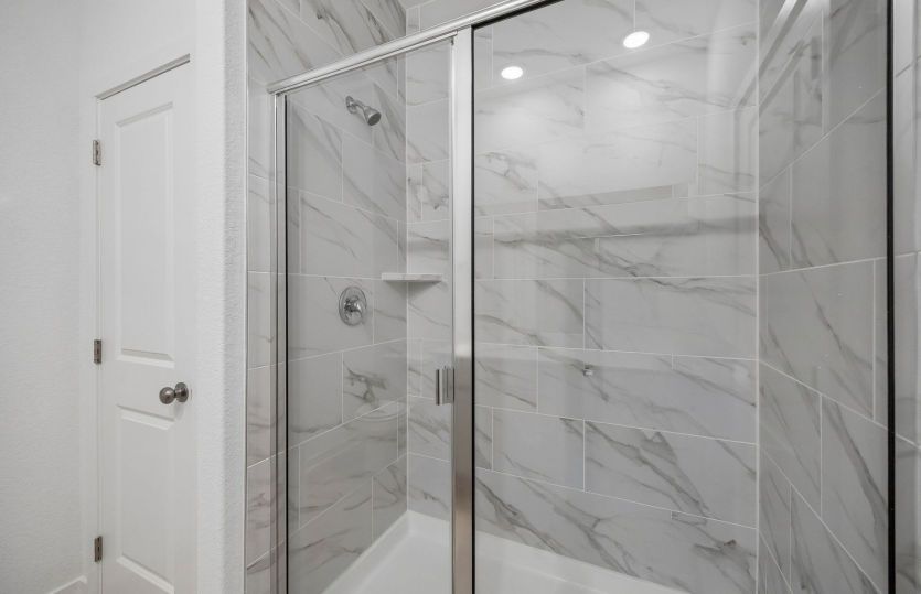 Primary Bathroom Shower