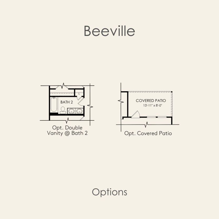Options