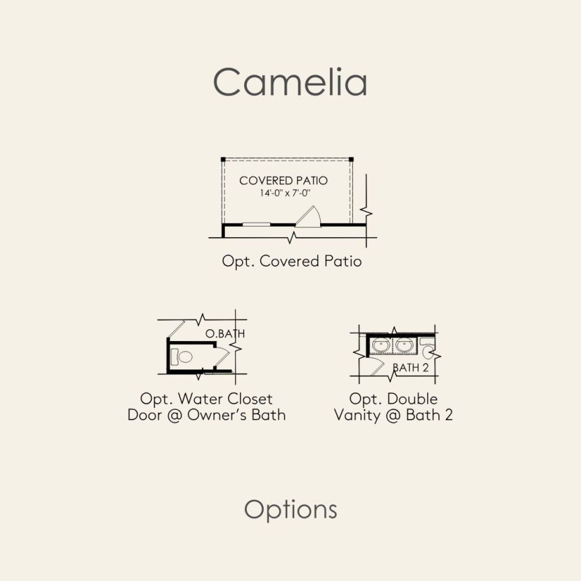 Options