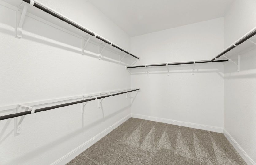 Representational Photo- Primary Closet
