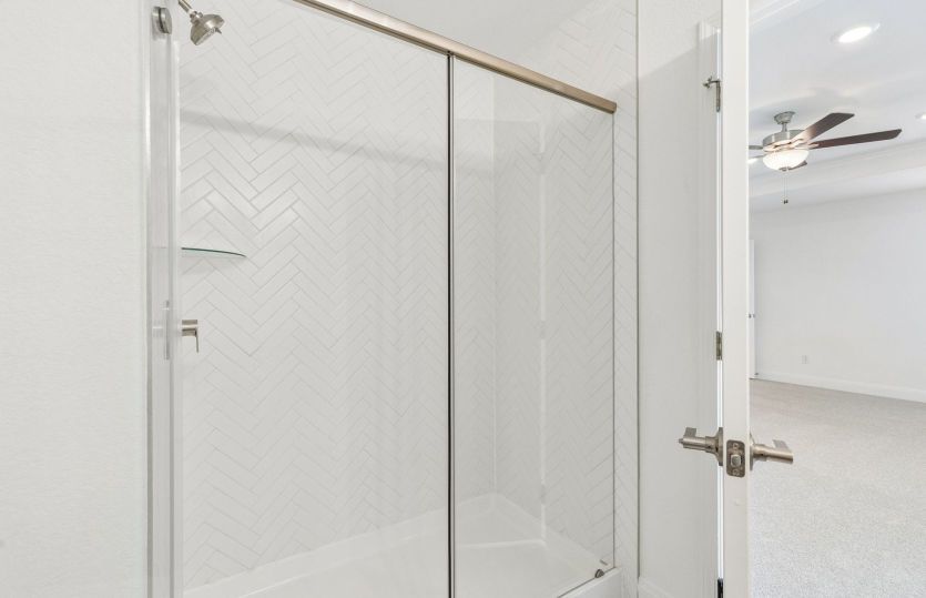 Primary Bathroom Walk-In Shower