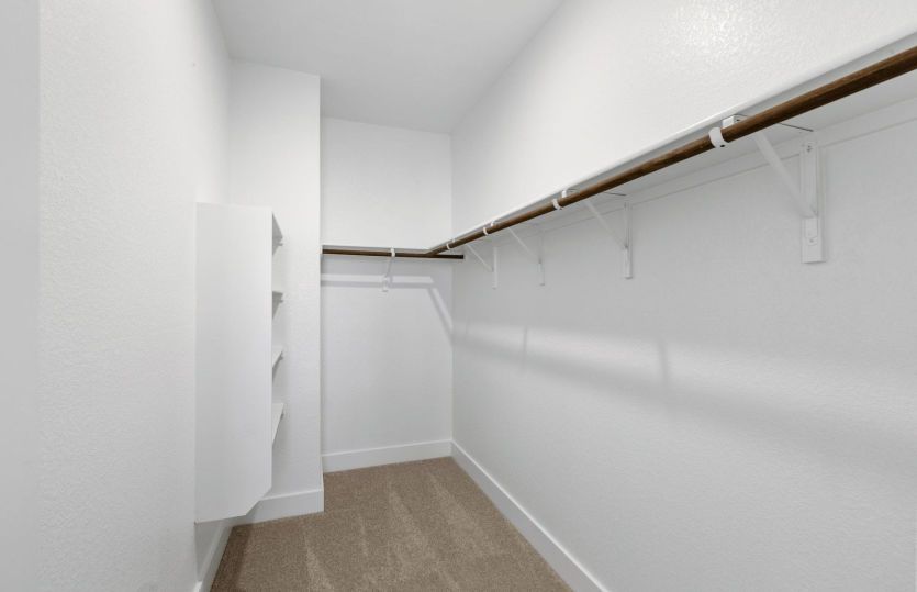 Representational Photo- Primary Closet