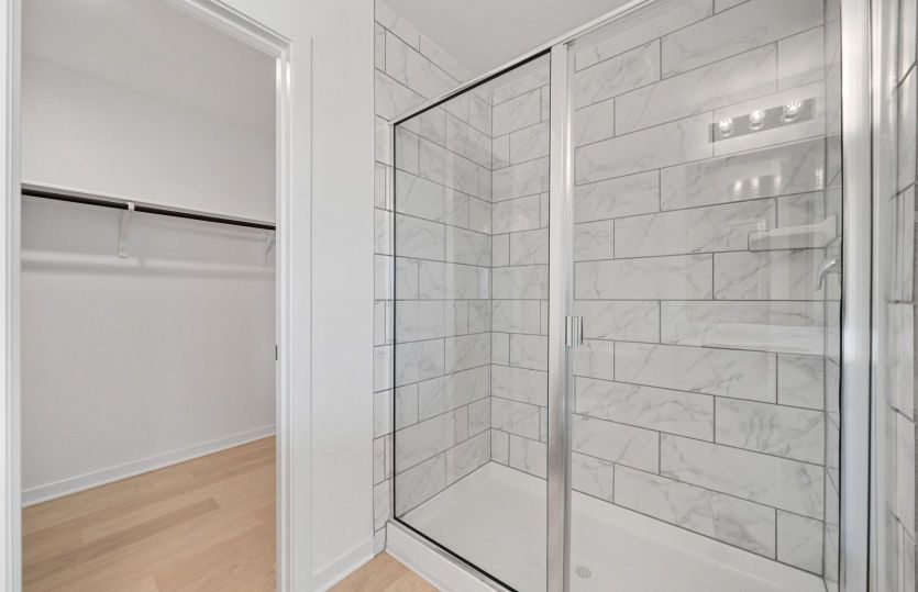 Representational Photo- Primary Bathroom Walk-In Shower
