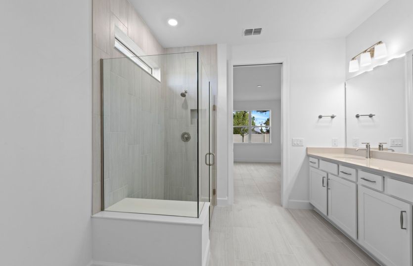 Walk-in shower in owner's bathroom