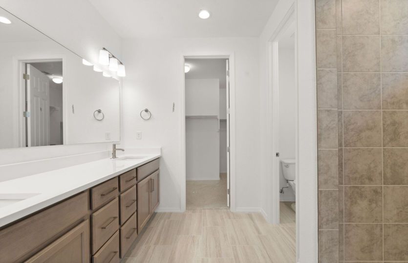 Owner's bath with dual sinks and luxurious walk-in shower