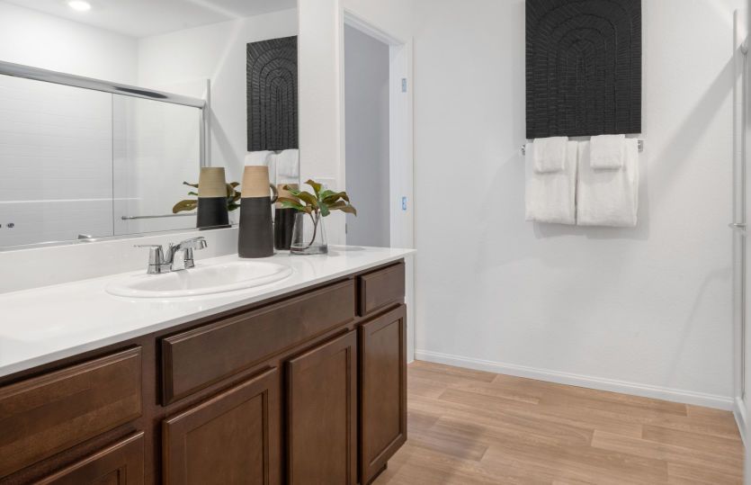 Owner's Bath