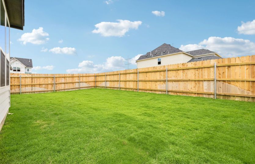 Backyard