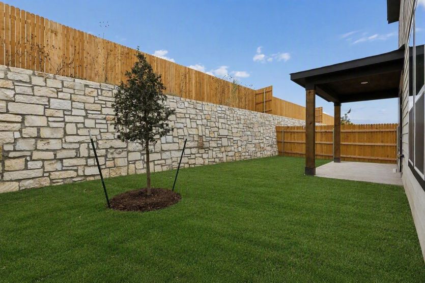 Backyard