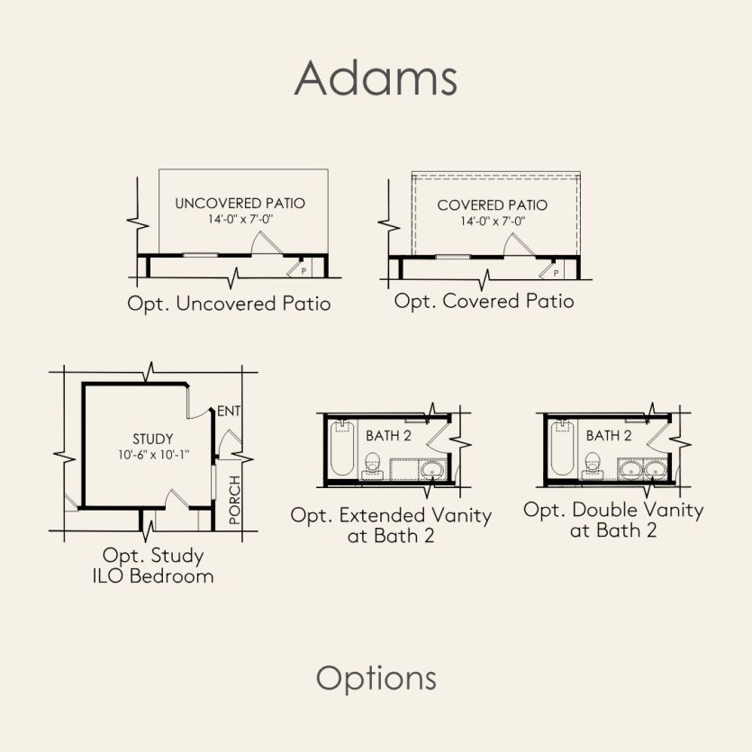 Options