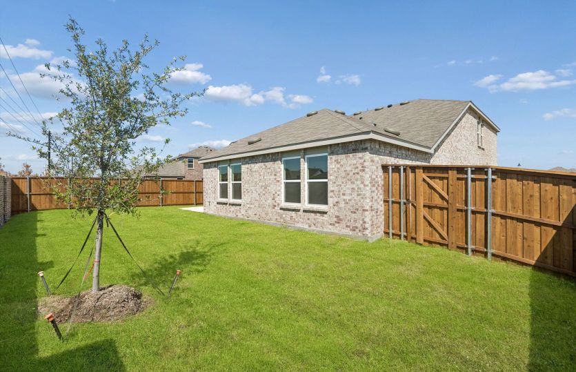 Fenced-in backyard