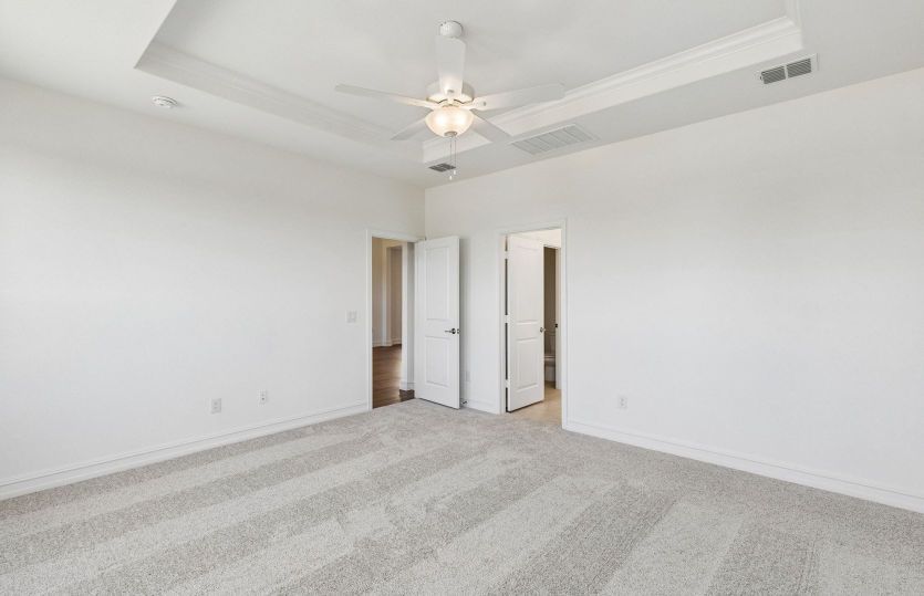 Tray ceiling in primary suite