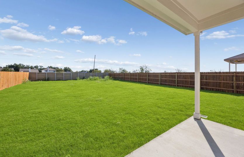 Backyard