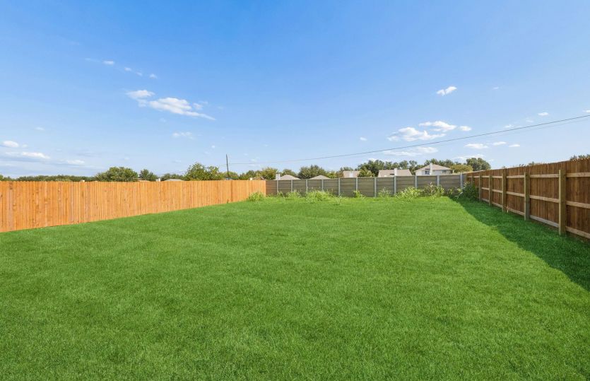 Backyard