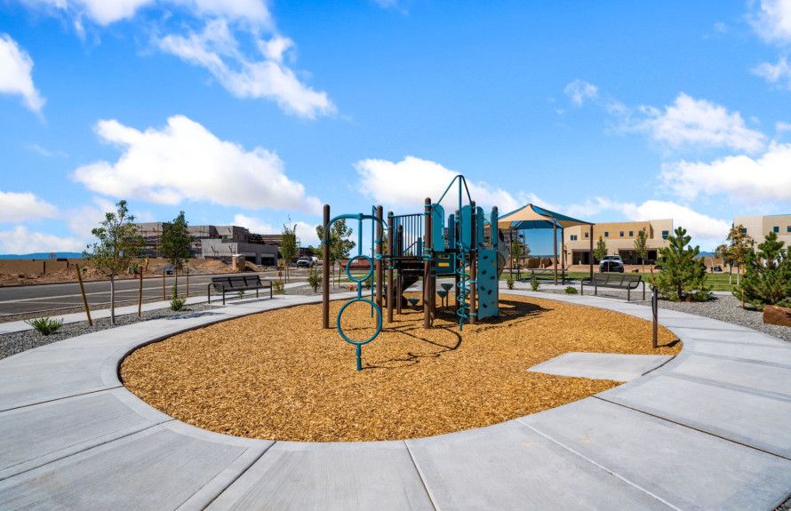 Family Play Structure