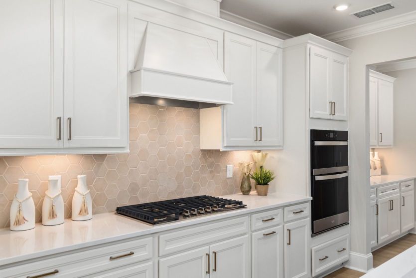 Luxurious Kitchen