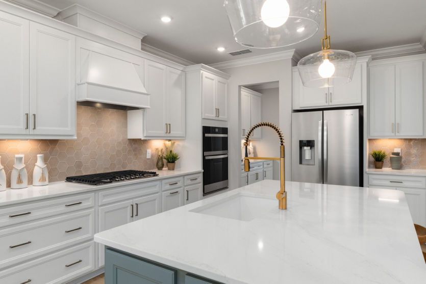 Luxurious Kitchen