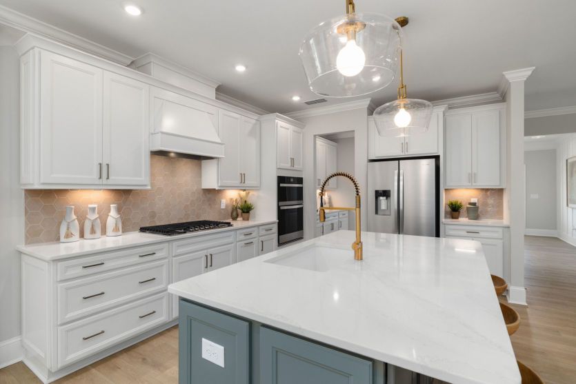 Luxurious Kitchen