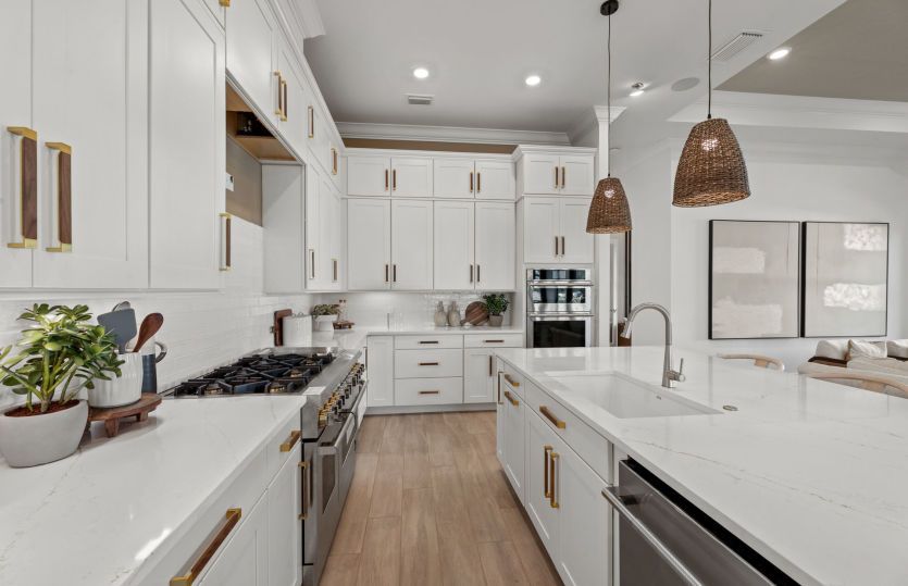 Chef-inspired kitchen