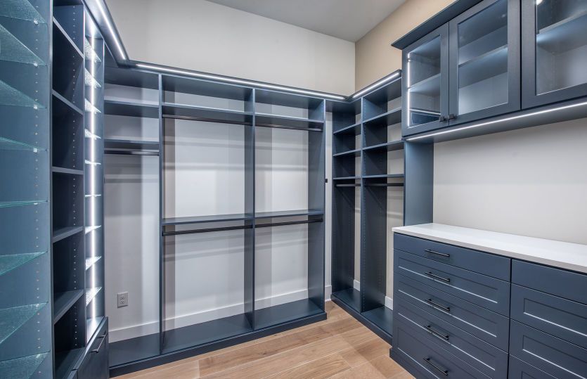 Walk-in shower in owner's bathroom