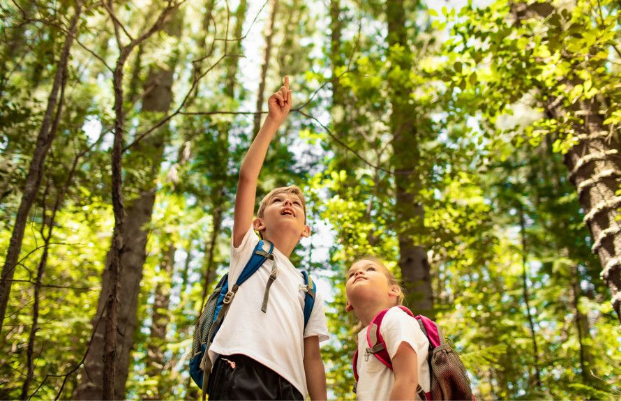 Close to Nature Preserves