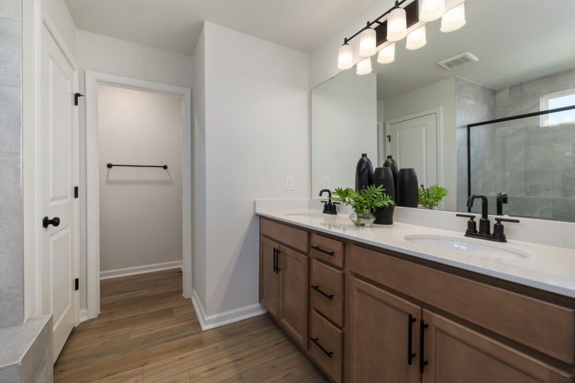 Owner's Bath
