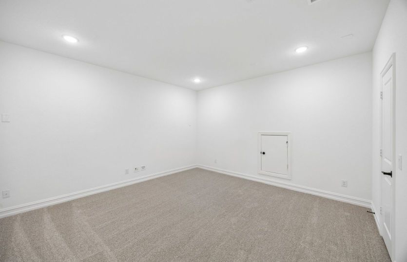 Spacious media room
