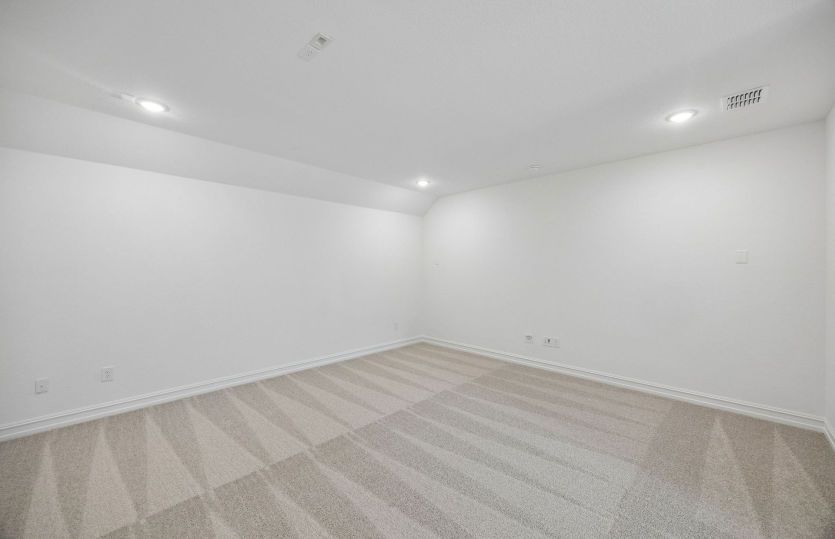Spacious media room