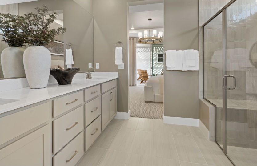 Owner's Bath