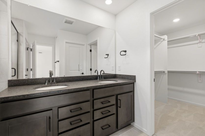Owner's Bathroom with Walk-In Closet