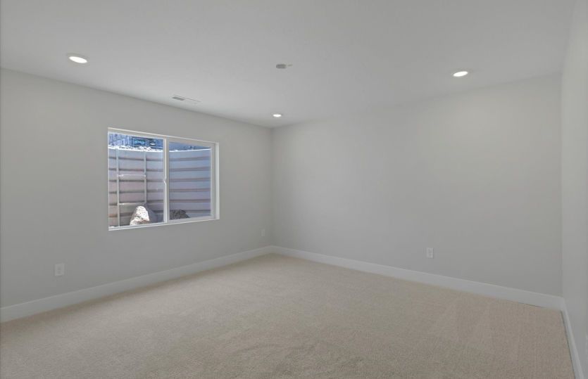 Basement Suite