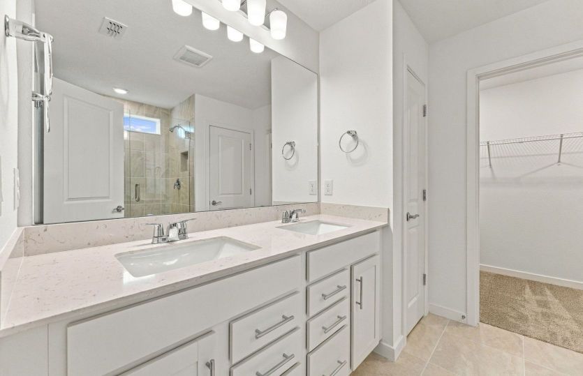 Owner's Bath