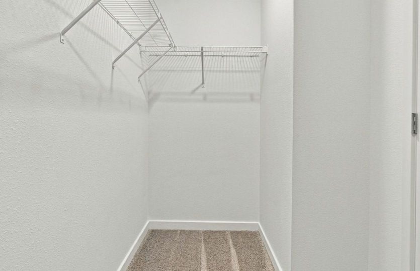 Owner's Walk-in Closet
