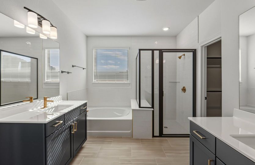 Representational Photo- Primary Bathroom