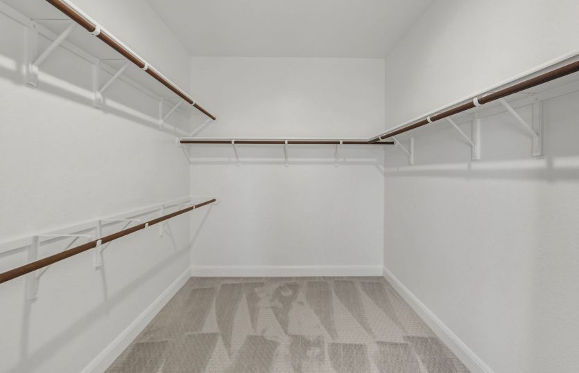 Representational Photo- Primary Closet