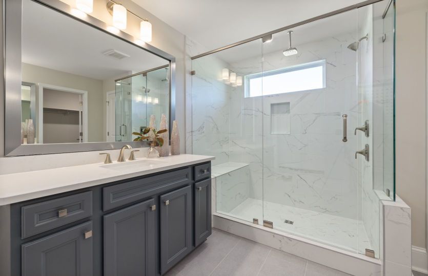 Owner's Bath Step-in Shower