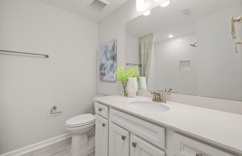 Beautiful Guest Bath