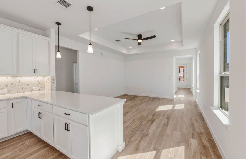 Representational Photo- Kitchen Open to the Dining Area